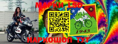 ECSTASY Новозыбков