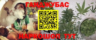 прущие грибы Новодвинск