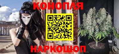 прущие грибы Новодвинск