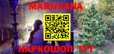 ECSTASY Новозыбков