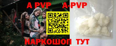 ECSTASY Новозыбков