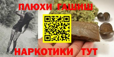 прущие грибы Новодвинск
