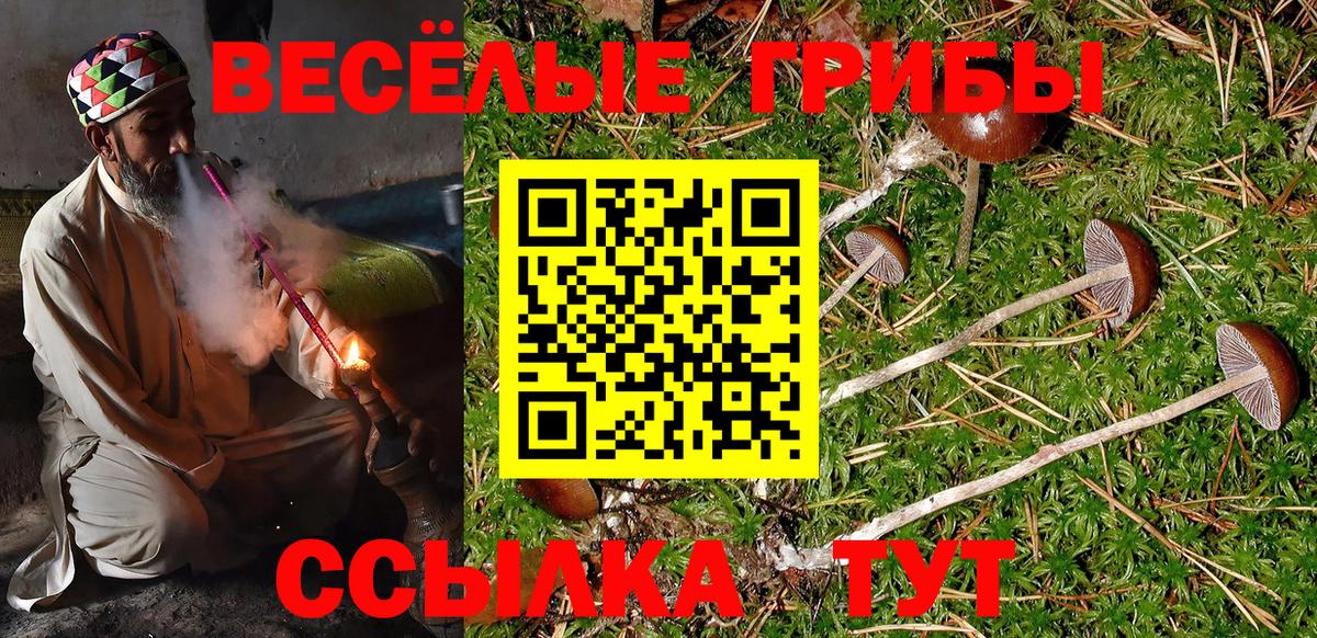 Среднеуральск  Псилоцибиновые грибы мухоморы  закладка  Вход с VPN 